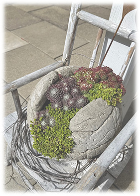 Traumwerk8 - Bild Betonkugel mit Pflanzen